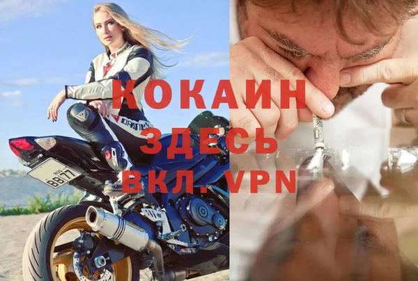 твердый Алексин