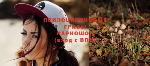 гашик Алзамай